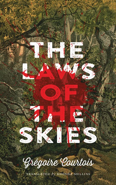 The Laws of the Skies ebook cover