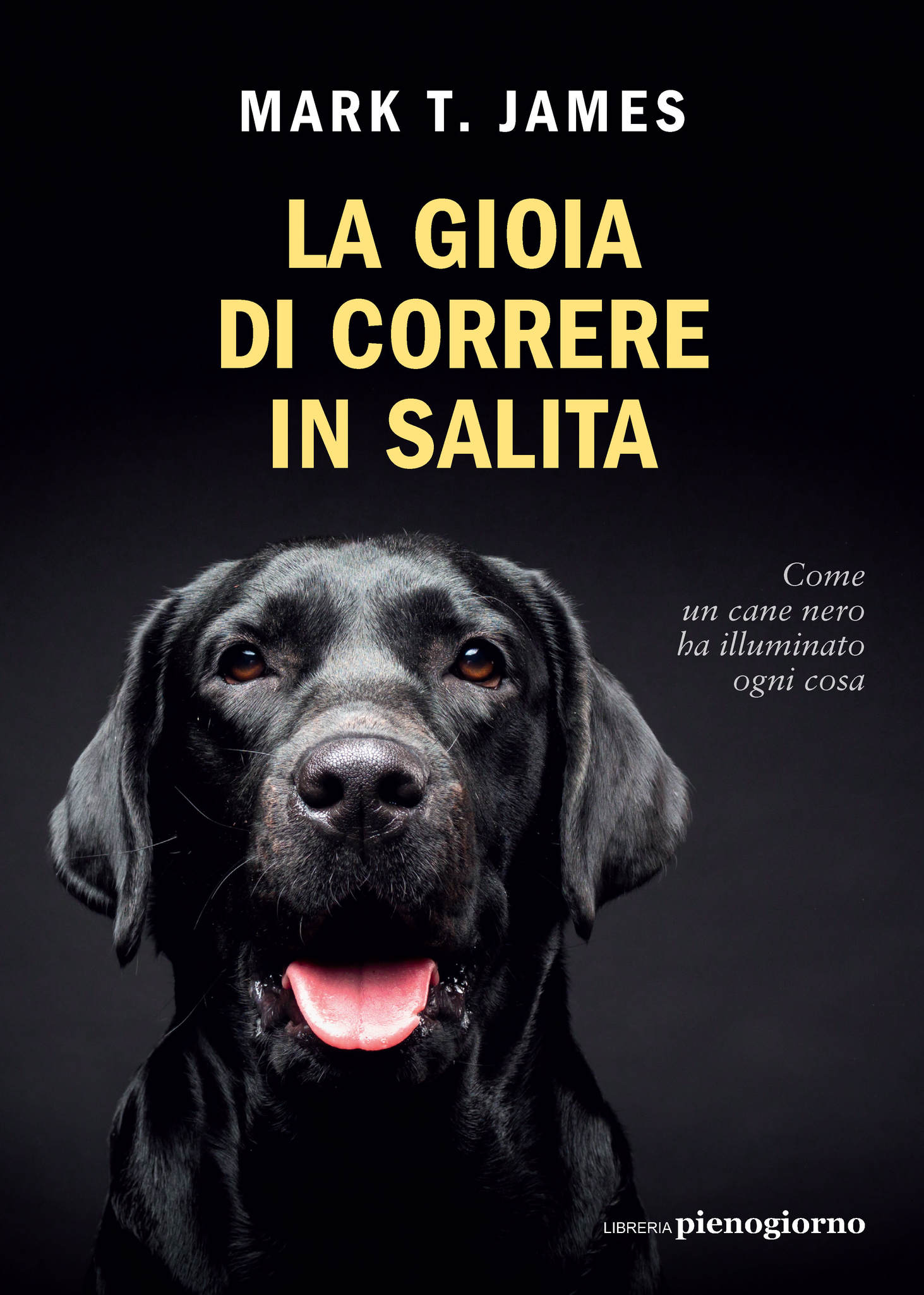 La gioia di correre in salita ebook cover