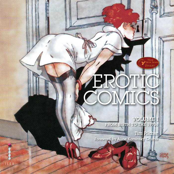 Erotic Comics ebook cover