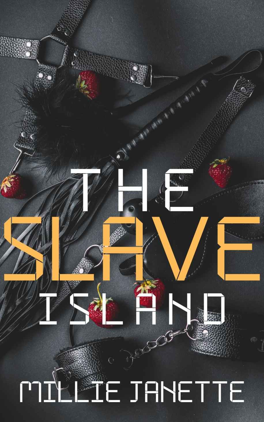 The Slave Island ebook cover