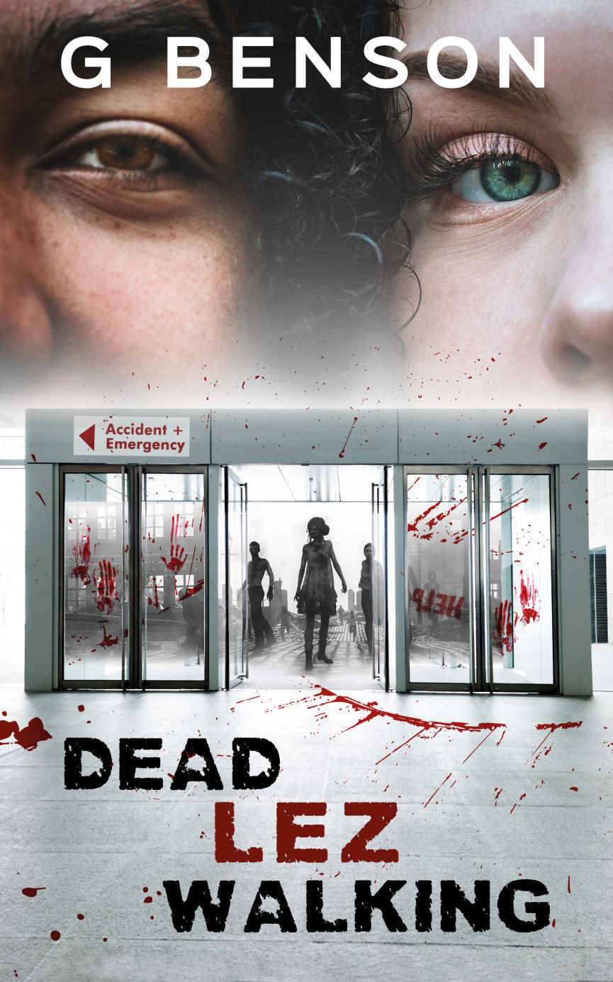 Dead Lez Walking ebook cover