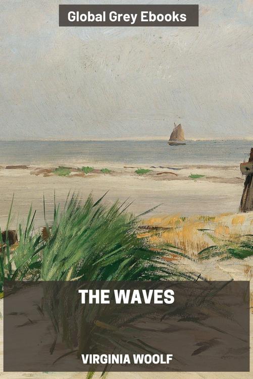 The Waves ebook cover
