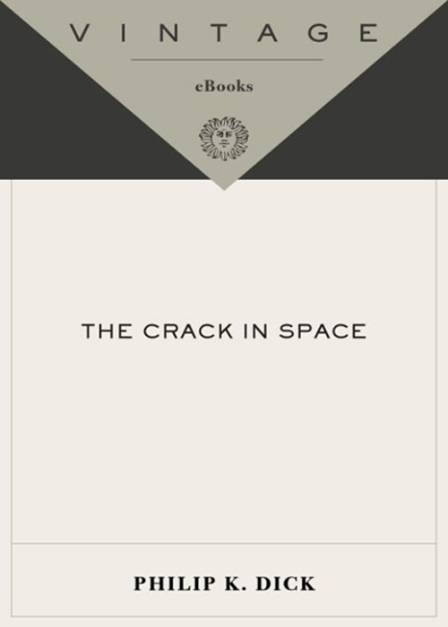 The Crack in Space ebook cover