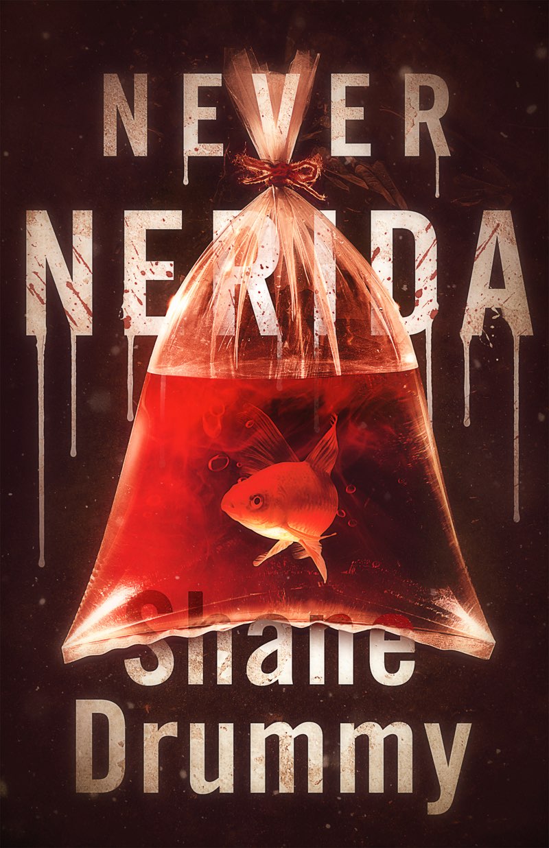 Never Nerida ebook cover