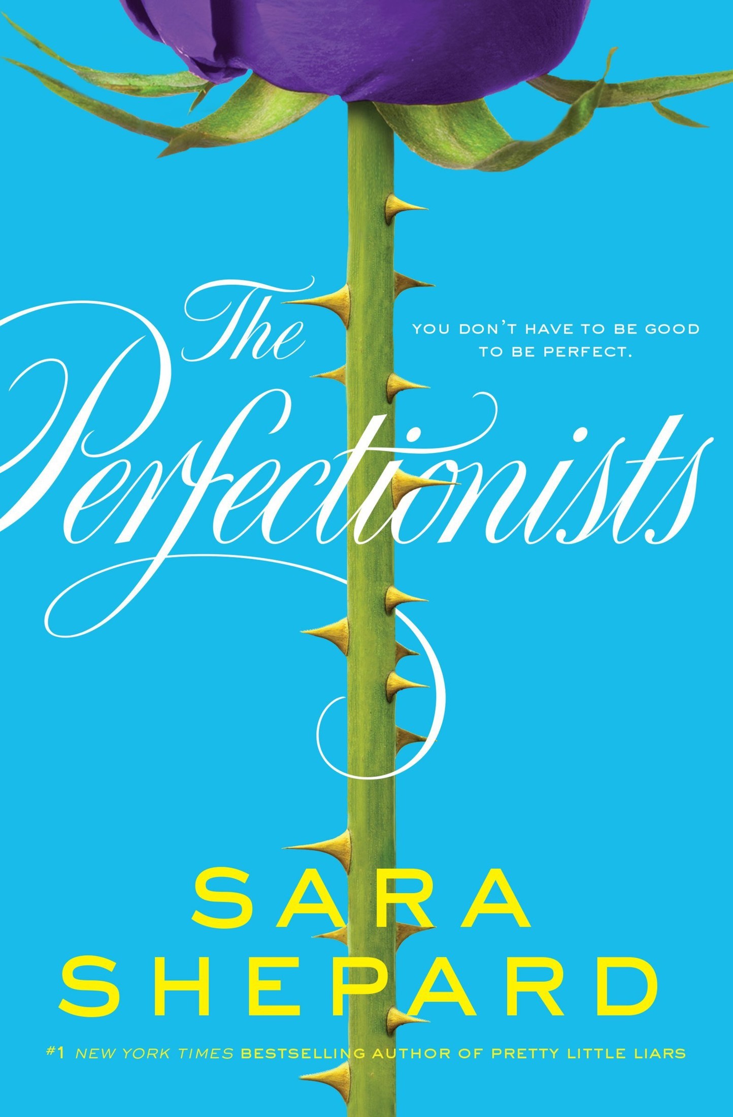 The Perfectionists ebook cover