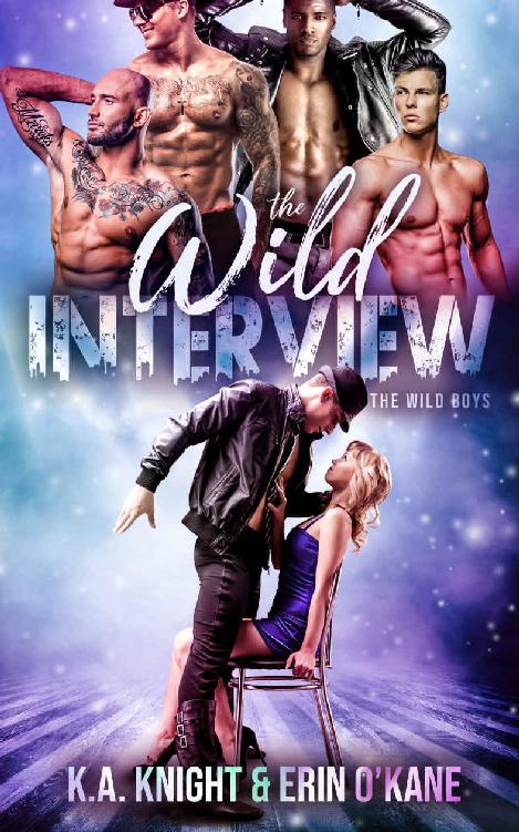 The Wild Interview (The Wild Boys Book 1) ebook cover
