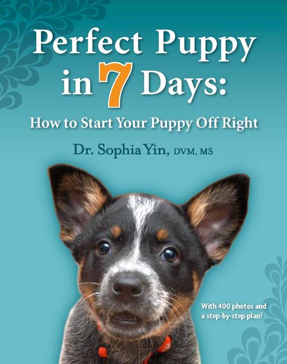 Perfect Puppy in 7 Days: How to Start Your Puppy Off Right ebook cover