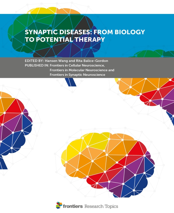 SYNAPTIC DISEASES: FROM BIOLOGY TO POTENTIAL THERAPY ebook cover