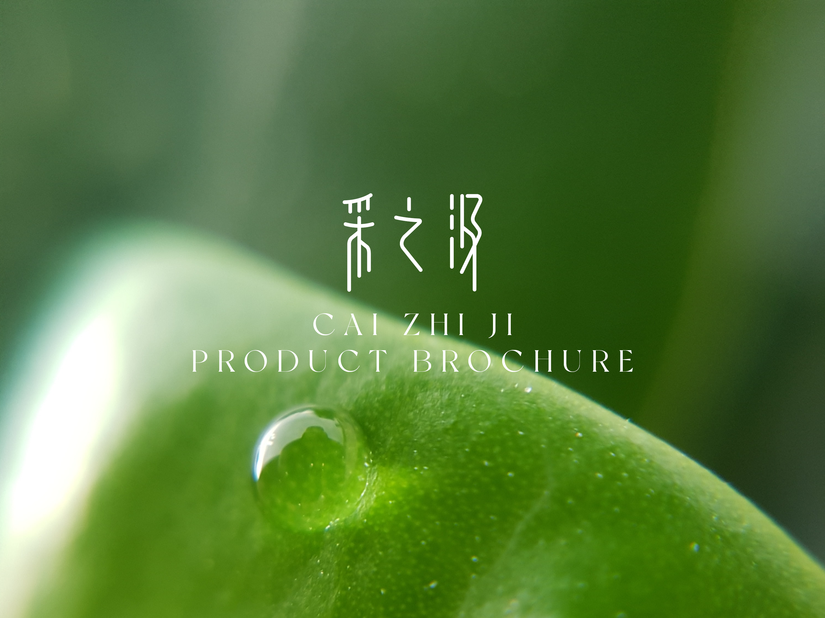 20230301&ccedil;&rdquo;&micro;&aring;&shy;&auml;&ordm;&sect;&aring;&ldquo;&aelig;&permil;&lsaquo;&aring;&dagger;&OElig; ebook cover