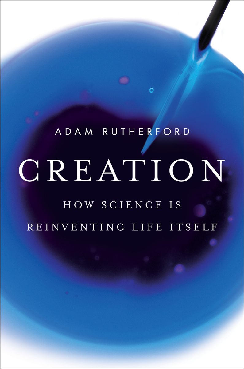 Creation ebook cover