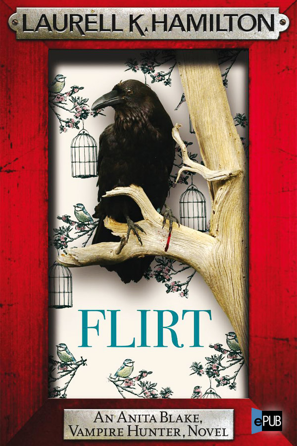Flirt (no oficial) ebook cover
