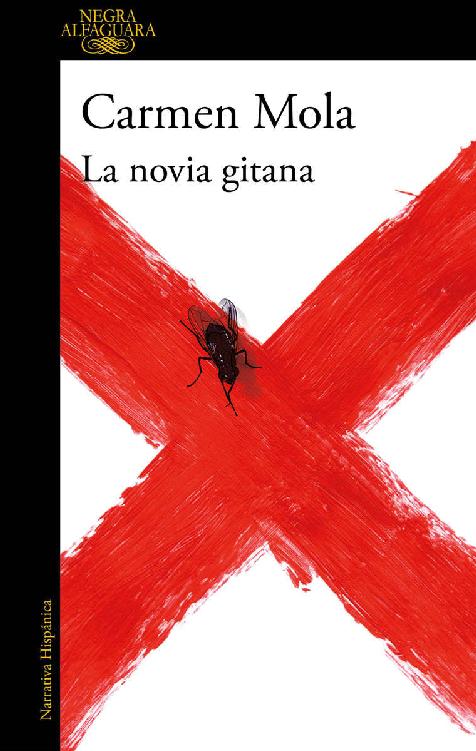 La novia gitana (Spanish Edition) ebook cover
