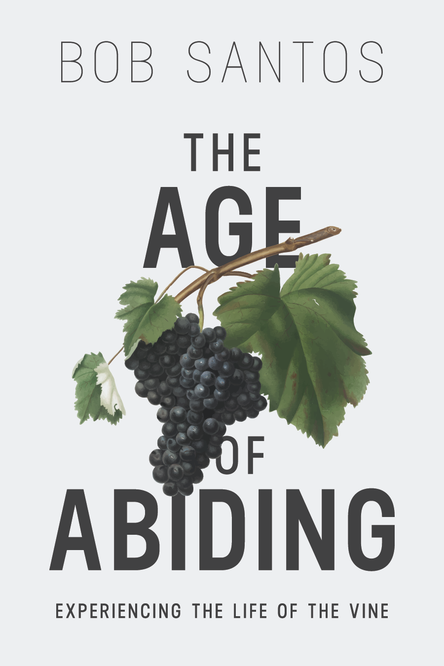 The Age of Abiding ebook cover