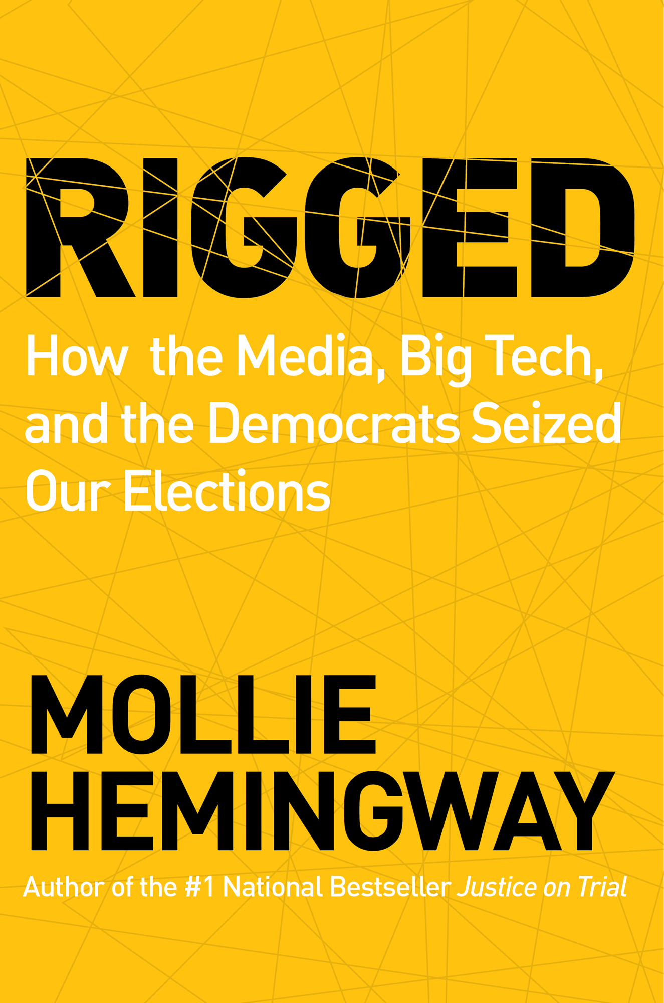 How the Media, Big Tech, and the Democrats Seized Our Elections ebook cover
