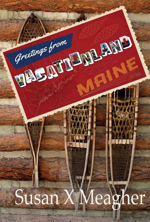 Vacationland ebook cover