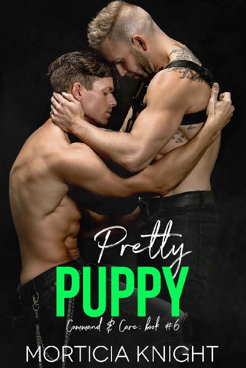 Pretty Puppy: An M-M Daddy, Second Chance Romance (Command & Care Book 6) ebook cover