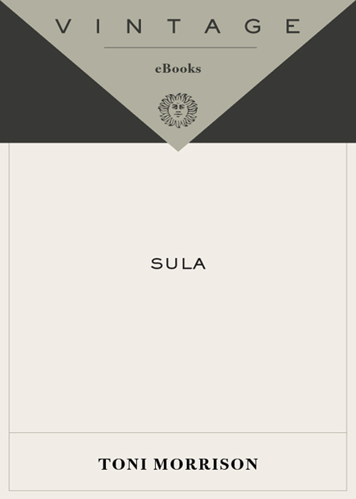 Sula ebook cover