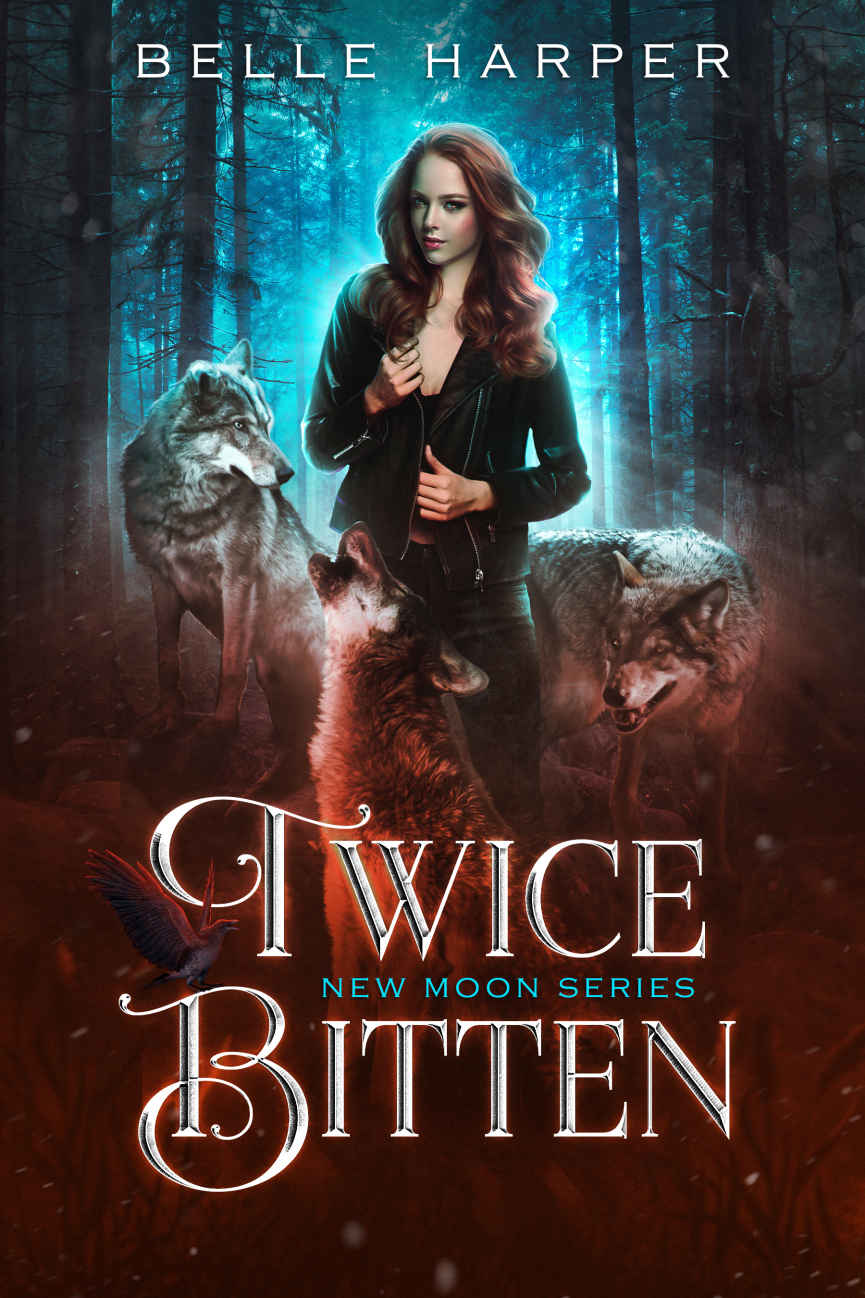 Twice Bitten (New Moon Series Book 1) ebook cover