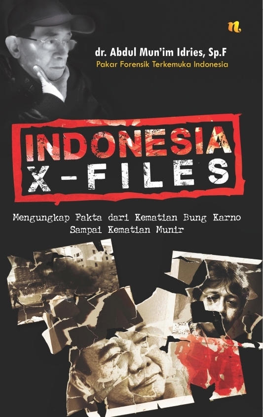 Indonesia X-Files ebook cover