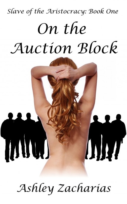 On the Auction Block ebook cover