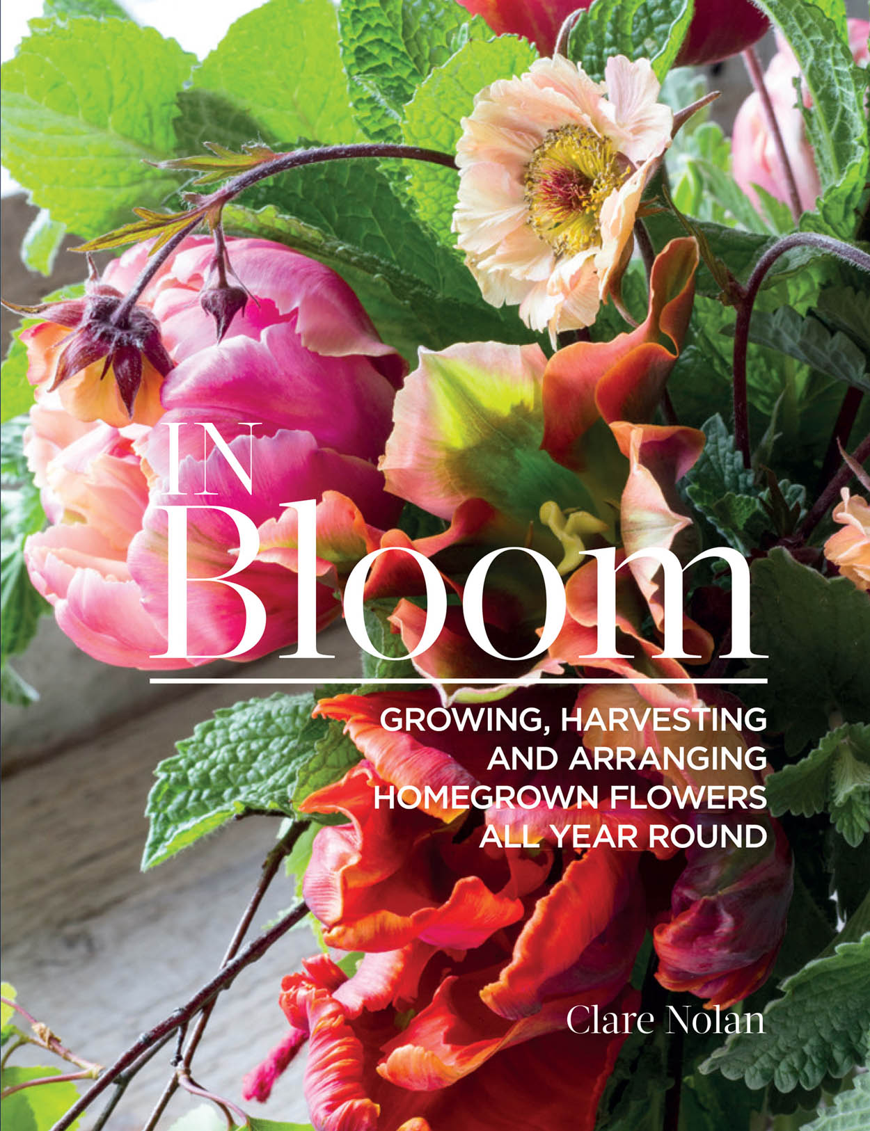 In Bloom ebook cover