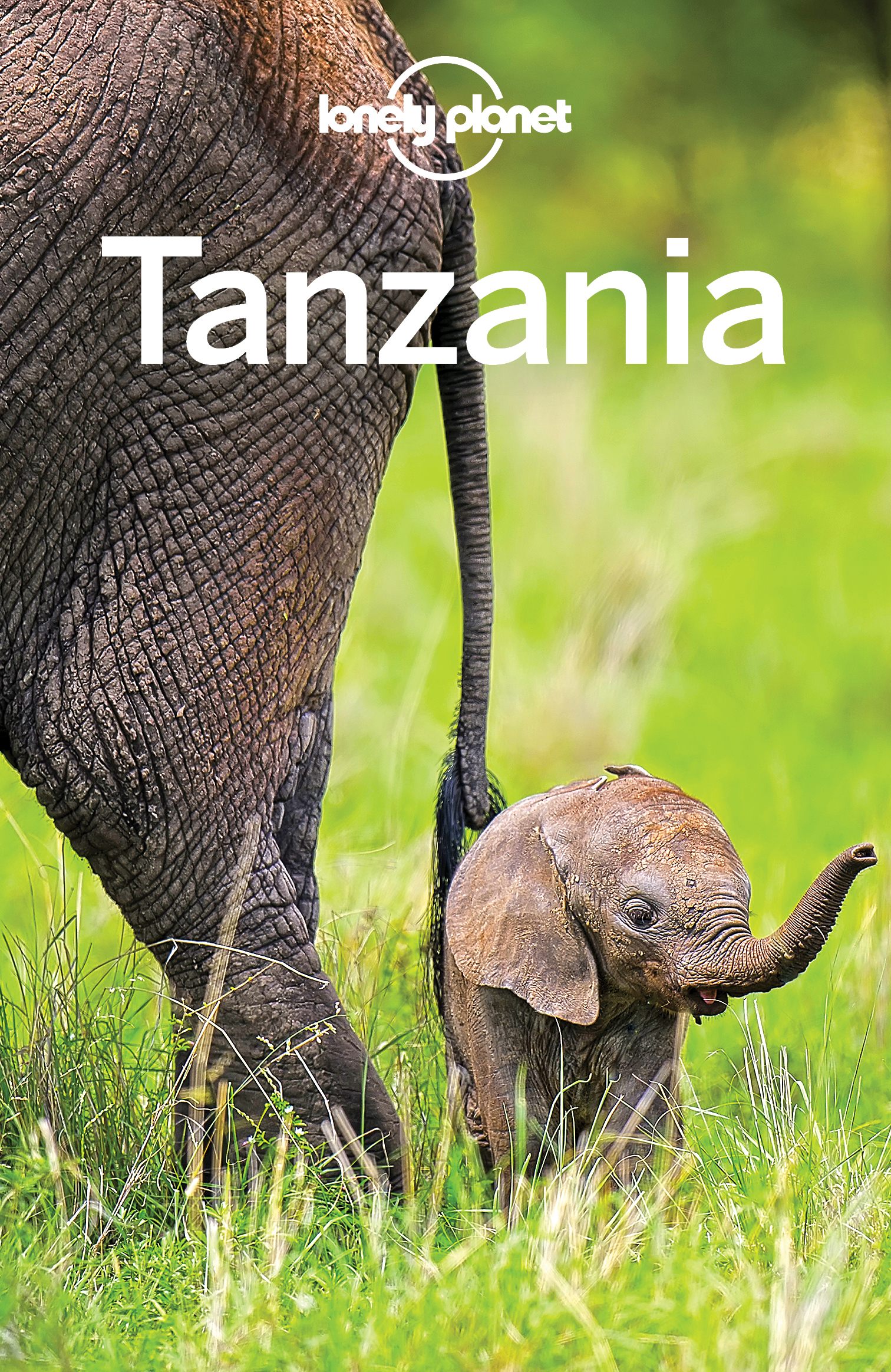 Lonely Planet Tanzania ebook cover