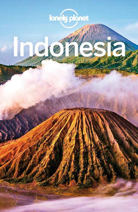 Lonely Planet Indonesia (Travel Guide) ebook cover