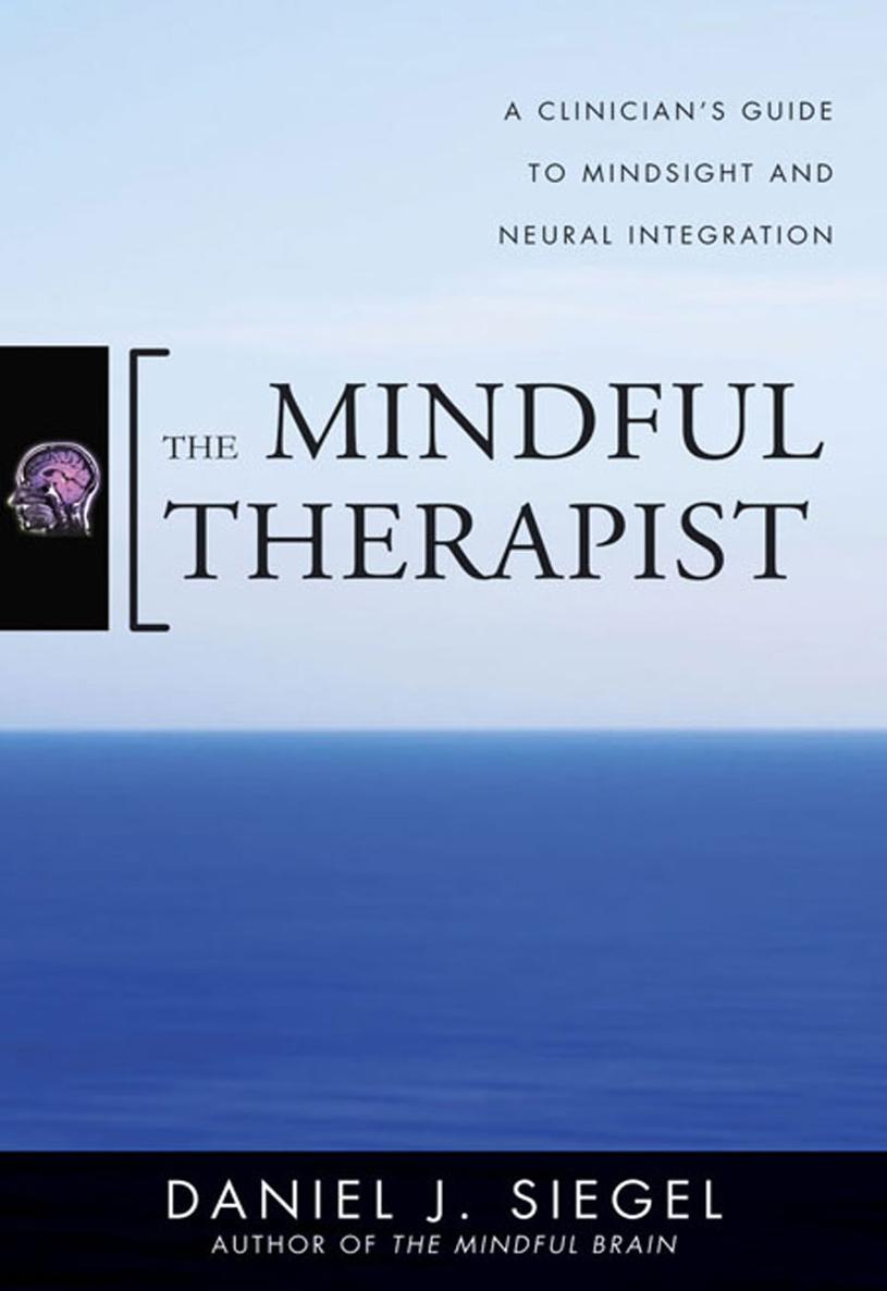 The Mindful Therapist: A Clinician's Guide to Mindsight and Neural Integration ebook cover