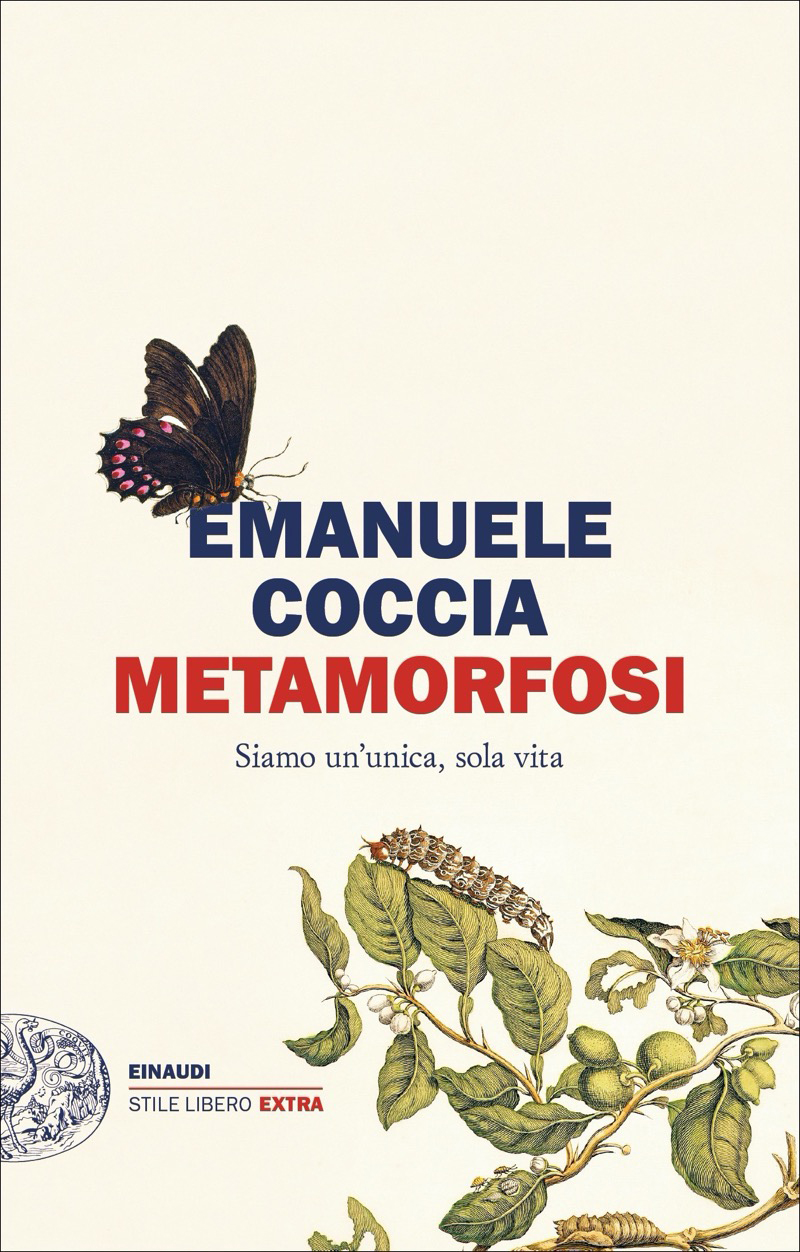 Metamorfosi ebook cover