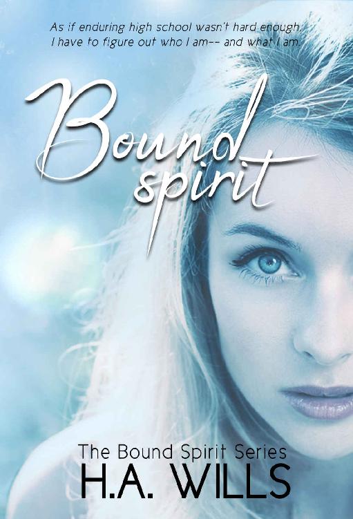 Bound Spirit: Book One of The Bound Spirit Series ebook cover