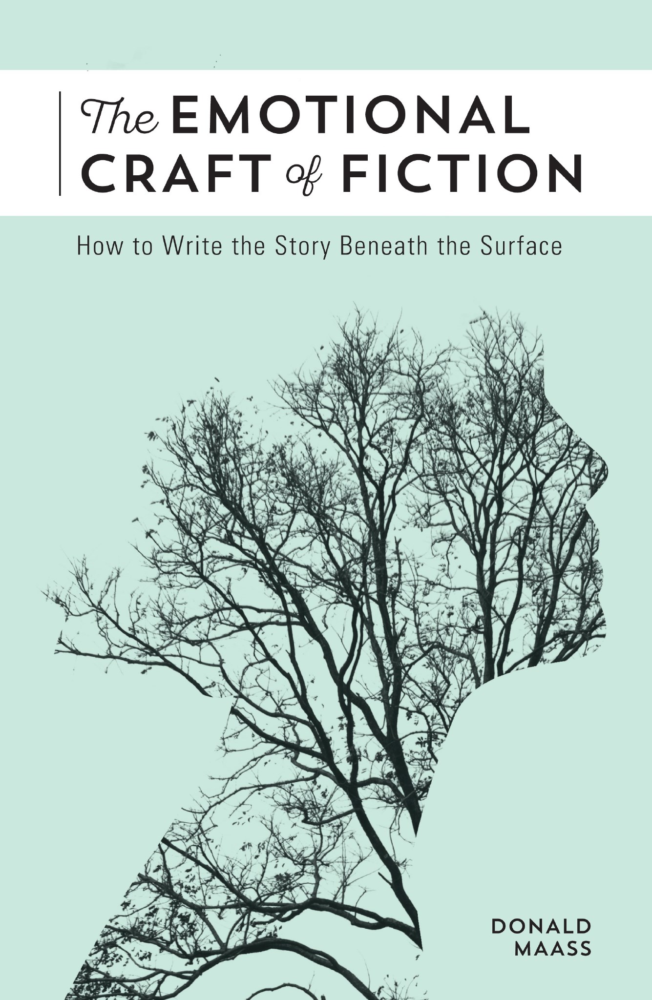 The Emotional Craft of Fiction ebook cover