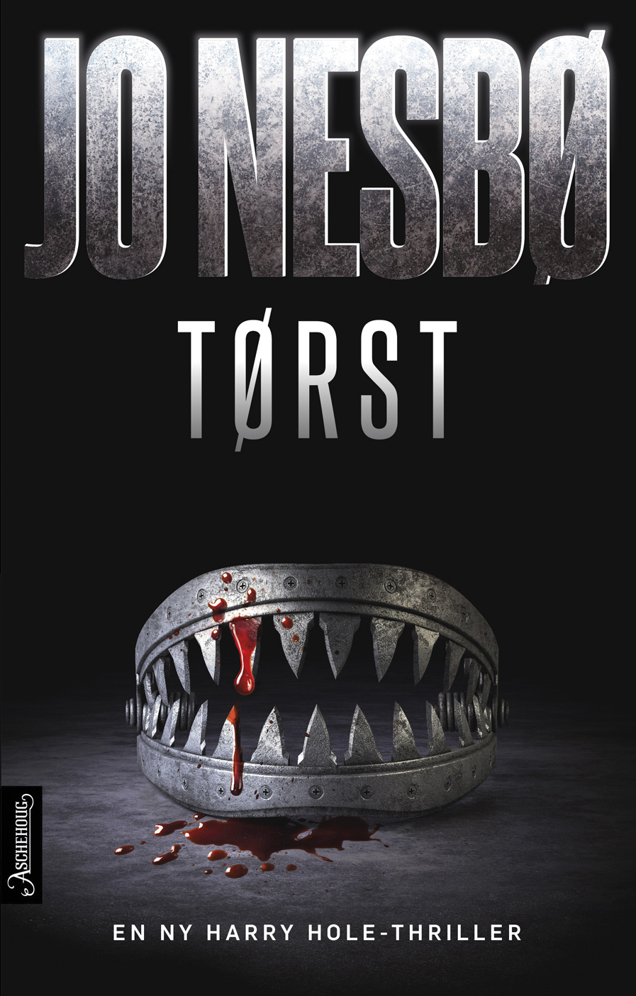 T&Atilde;&cedil;rst ebook cover
