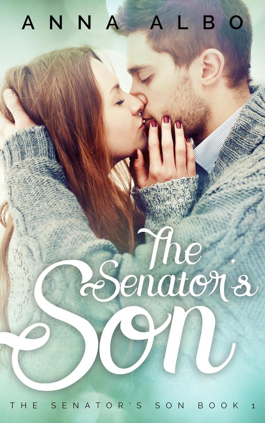 The Senator's Son ebook cover