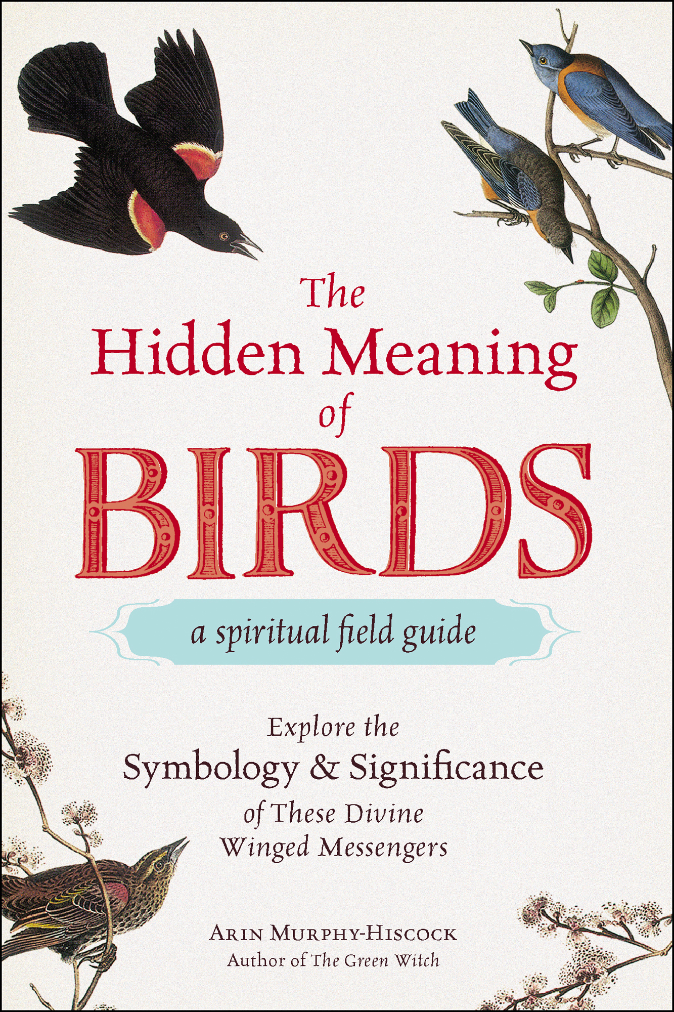 The Hidden Meaning of Birds&acirc;&euro;&rdquo;A Spiritual Field Guide ebook cover