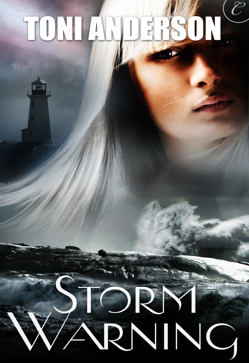 Storm Warning ebook cover