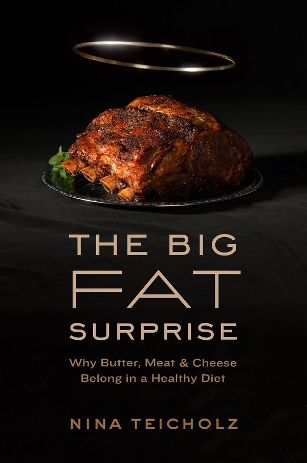 The Big Fat Surprise ebook cover