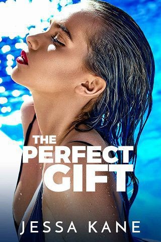 The Perfect Gift ebook cover