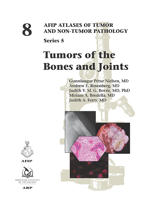 Fifth Series ebook cover