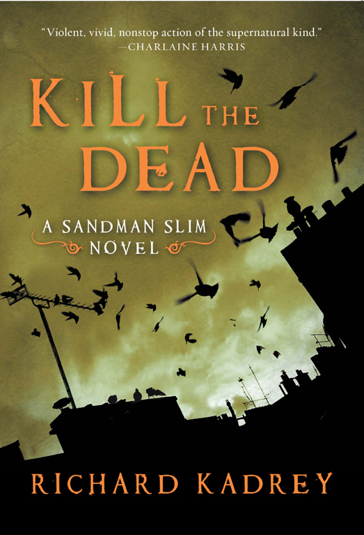 Kill the Dead ebook cover