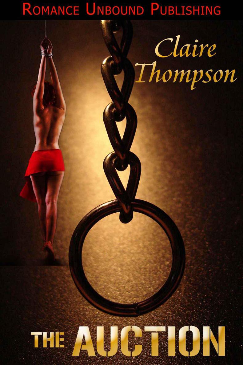 The Auction ebook cover