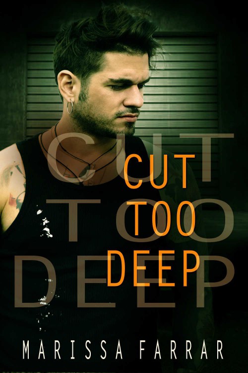Cut Too Deep ebook cover