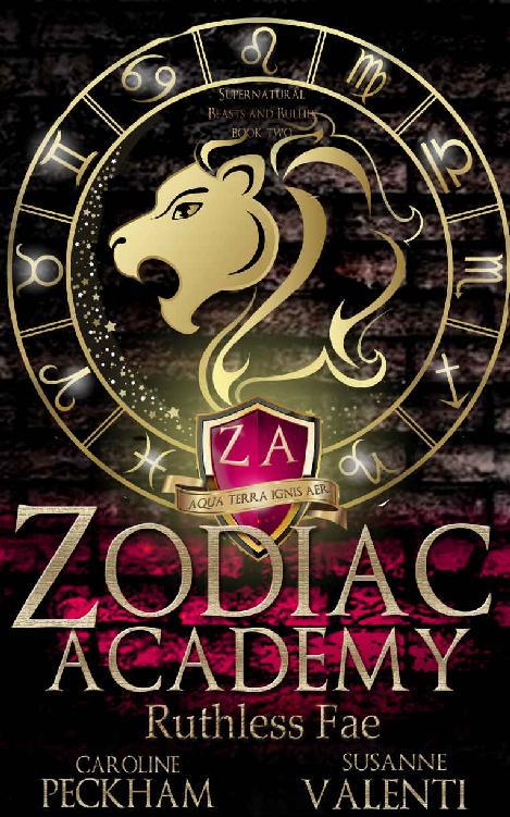 Zodiac Academy: Ruthless Fae: An Academy Bully Romance (Supernatural Bullies and Beasts Book 2) ebook cover