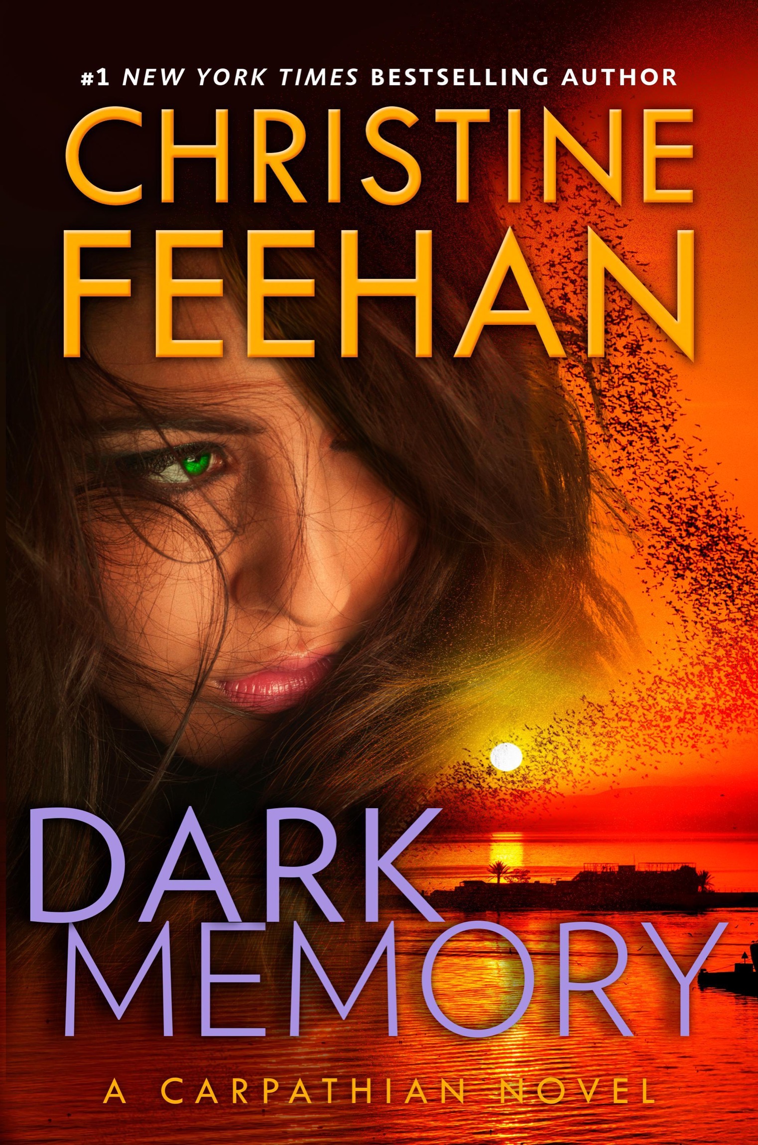 Dark Memory ebook cover