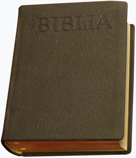 Biblia ebook cover