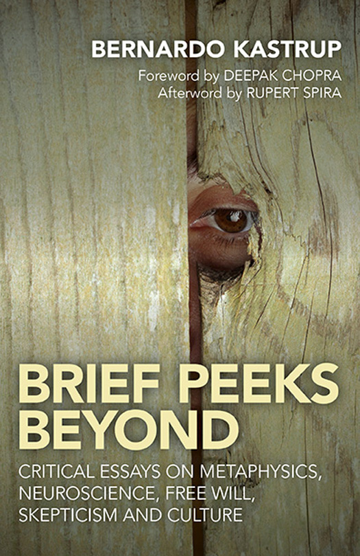 Brief Peeks Beyond ebook cover