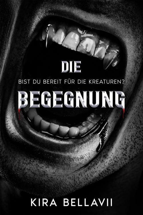 DIE BEGEGNUNG ebook cover