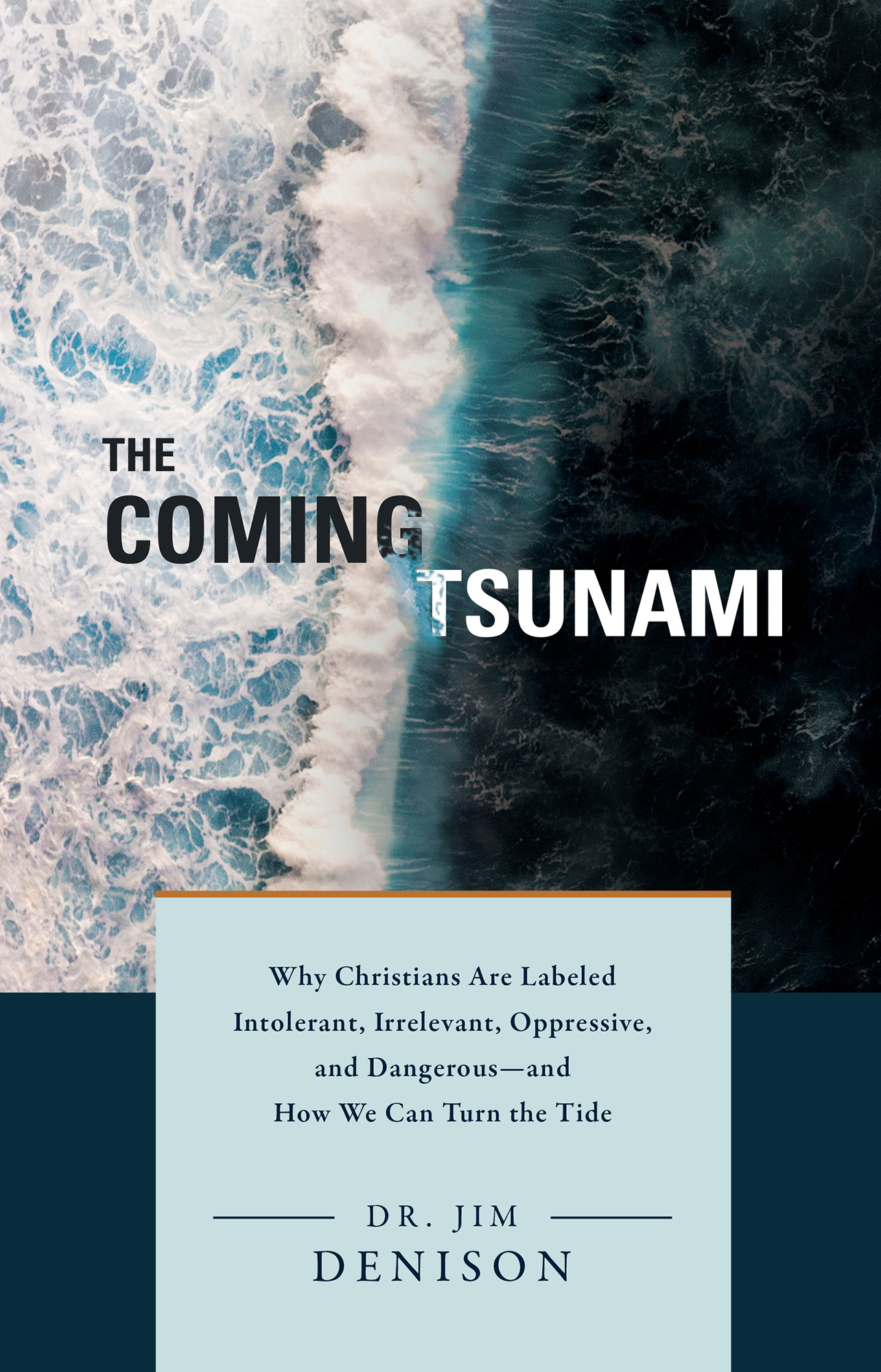 Why Christians Are Labeled Intolerant, Irrelevant, Oppressive, and Dangerous&acirc;&euro;&rdquo;and How We Can Turn the Tide ebook cover