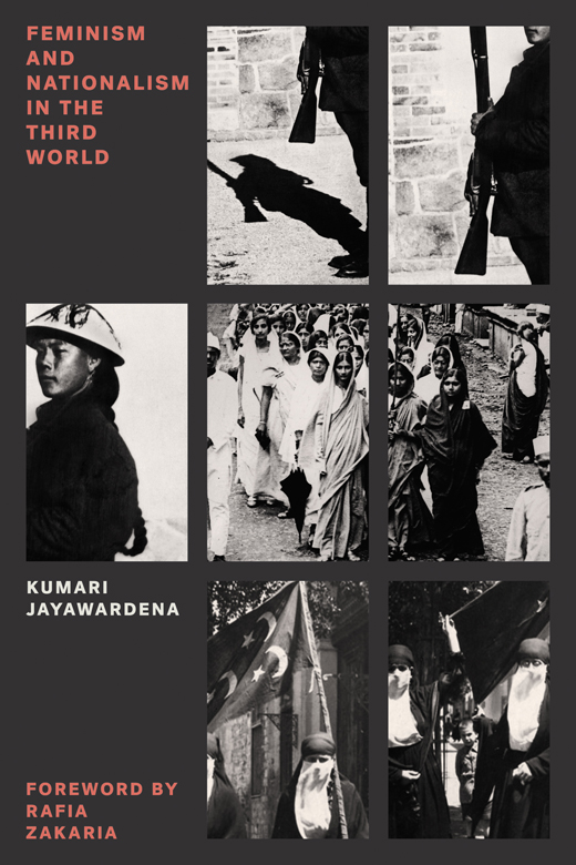 Feminism and Nationalism in the Third World ebook cover