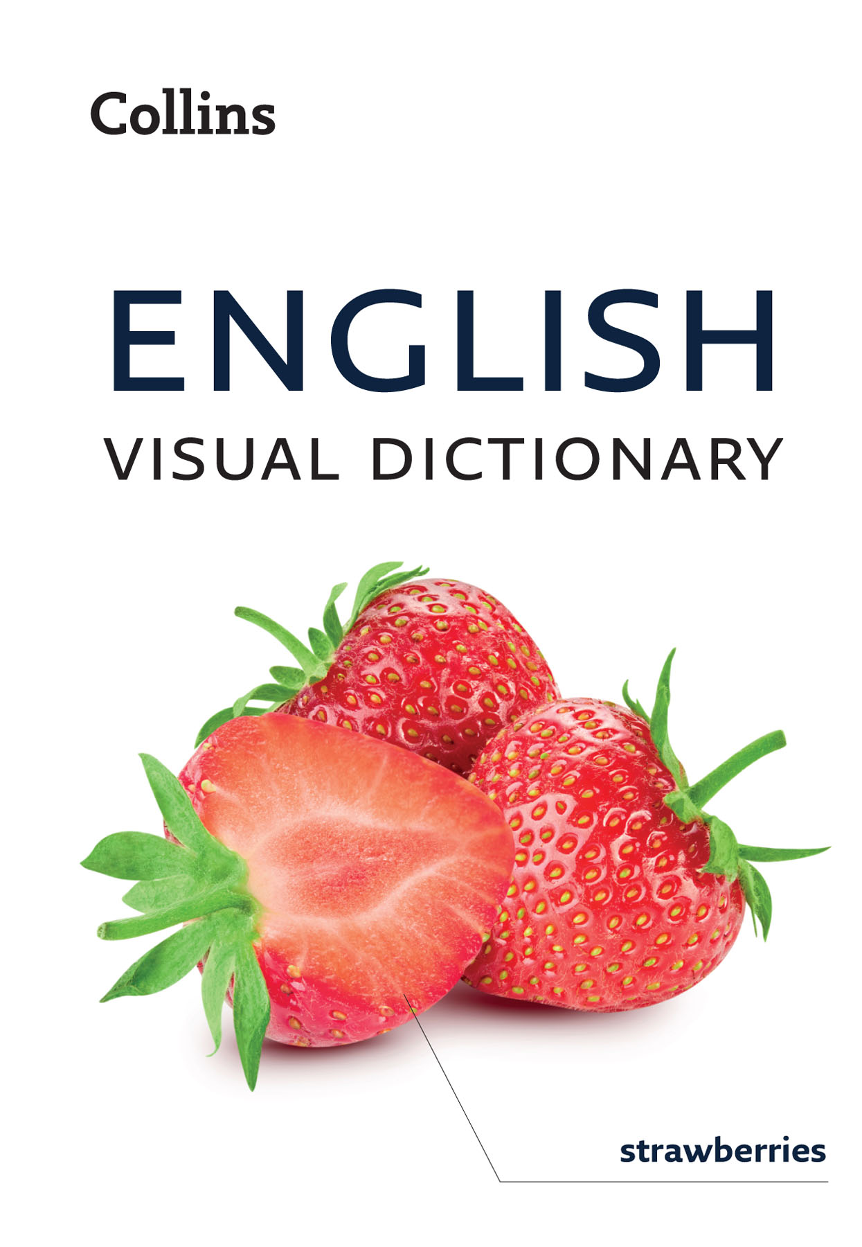 English Visual Dictionary ebook cover