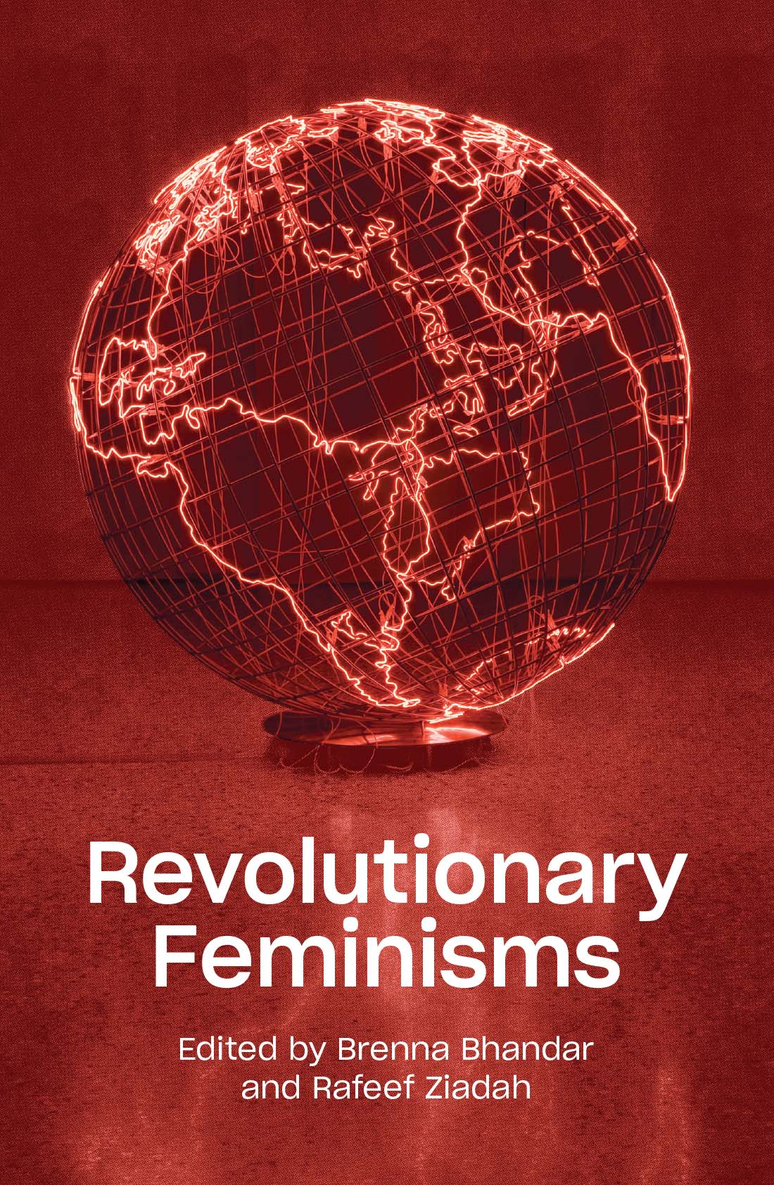 Revolutionary Feminisms ebook cover